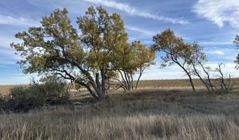 00000 CR 140, Alexander, KS 67513