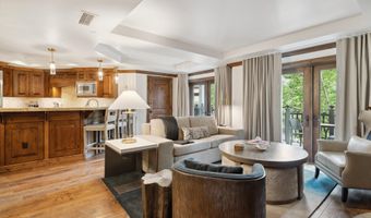 415 E Dean St Unit 19 Week 28, Aspen, CO 81611
