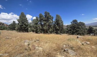 1548 Moss Cir, Gardnerville, NV 89410