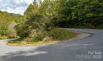 10 Dodd Rd, Barnardsville, NC 28709