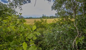 4088 W STATE ROAD 235, Alachua, FL 32615