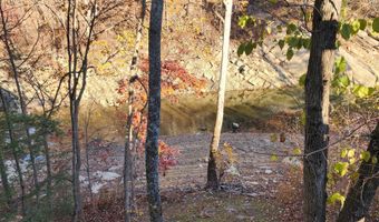 22089 Parks Mill Rd, Abingdon, VA 24211