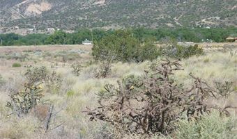 Tract C C-1-A-1-A OF COTTONWOOD, Embudo, NM 87582