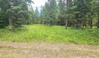 7248 E Honeysuckle Rd, Athol, ID 83801