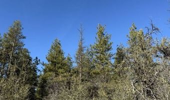 Badger Lane, Bonanza, OR 97623