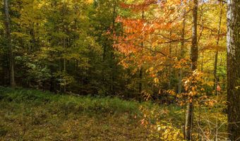 99999 Harwood Rd, Barnardsville, NC 28709