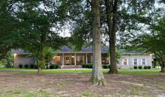 920 Wolf Creek Rd, Albertville, AL 35951