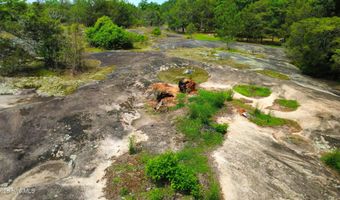 2467 Louisville Rd, Appling, GA 30802