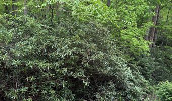2 Lots Warrior Way Road Lot 11 & 15, Andrews, NC 28781