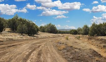 5079 N Pineveta Rd, Ash Fork, AZ 86320