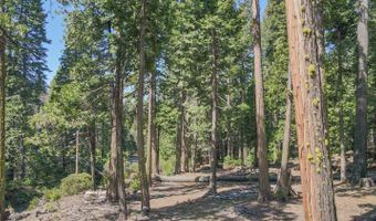 403 Sierra Pkwy, Camp Connell, CA 95223