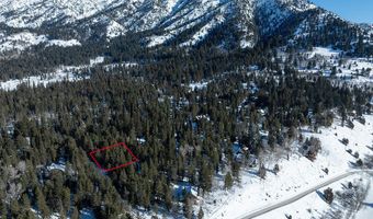 Lot 31 PINE, Alpine, WY 83128