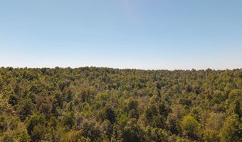 County Road 204, Alton, MO 65606