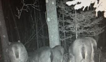 V/L S M-33, Alger, MI 48610