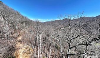 99999 Green Ridge Falls Rd 17, Barnardsville, NC 28709