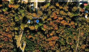 MULBERRY AVENUE, Anniston, AL 36201