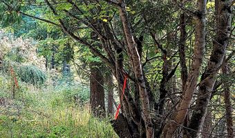 NKA Silver Creek Road, Clark Fork, ID 83811