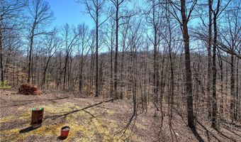 497 Cherokee Trl, Ball Ground, GA 30107