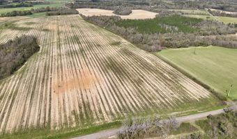 15 Acres Antioch Church Rd, Ashford, AL 36312