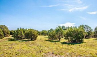 Lot 27 Cochiti Court, Alto, NM 88312