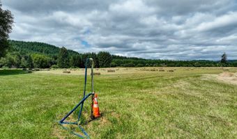 10090 HIGHWAY 202, Birkenfeld, OR 97016