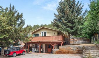 112 E Hillside Dr, Basalt, CO 81621