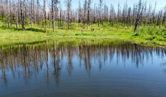 2493 Greer Rd, Bellvue, CO 80512