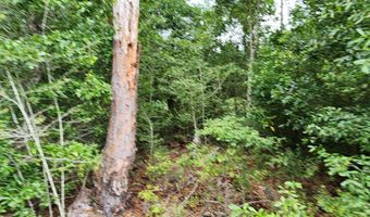 0 Lakepoint Rd Lot 7, Alford, FL 32420