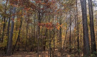 1374 E HIGHWAY 280 Lot 1374, Alexander City, AL 35010