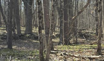 Bolton Hill Road lot 88, Augusta, ME 04330