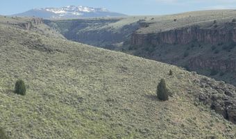 993 E Side Ave, Jarbidge, NV 89826