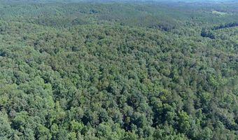 0 COUNTY ROAD 61 366.92 acres, Fruithurst, AL 36262