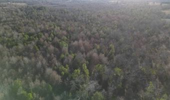 412110 E 1900 Rd, Antlers, OK 74523