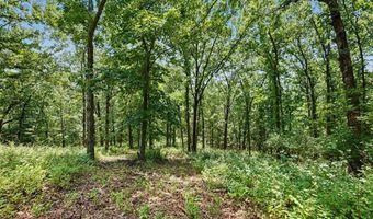 1410 Saint Paul Rd, Ballwin, MO 63021