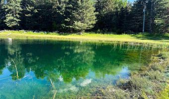 8157 NW Kellogg Rd, Alden, MI 49612