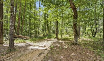 510 Gabe Holcomb Rd, Brandon, MS 39042