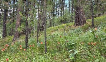 L16 B1 Lantern Way lot 16, Cascade, ID 83611