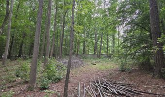 5009 Holly Brook Dr, Apex, NC 27539