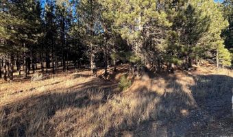 1 And 2 Lower Rd, Angel Fire, NM 87710
