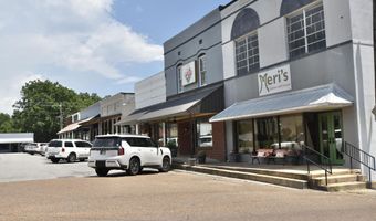 366 N Bells St, Alamo, TN 38001
