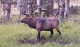705 NM-120, Angel Fire, NM 87710