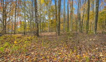 419 Algerine St, Afton, NY 13730