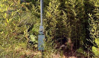 TBD Forest Blvd, Abbeville, AL 36310