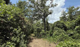 25 Acres Silo Rd, Altoona, AL 35952