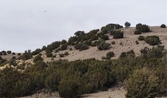 15 County Rd N8641, Concho, AZ 85924
