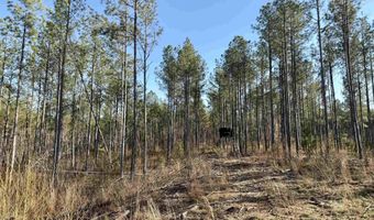 Highway 28, Abbeville, SC 29620