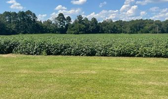 2672 Big Fork Rd, Barnwell, SC 29812