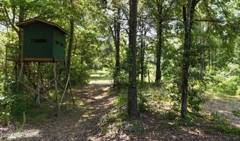 Barnacre Road, Batesville, MS 38606