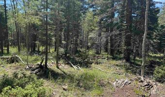 Lot 1012 El Camino Real, Angel Fire, NM 87710