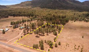 159 Correctional Center Rd, Alpine, AZ 85920